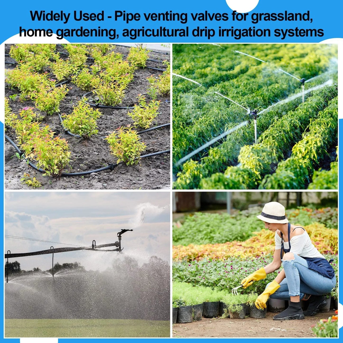 2 Pack Three Quarter Inch Air Release Valve For Drip Irrigation Systems With Automatic Air And Vacuum Release To Prevent Air Locks And Boost Water Efficiency In Agricultural Setups, shown in use across various agricultural and gardening applications.
