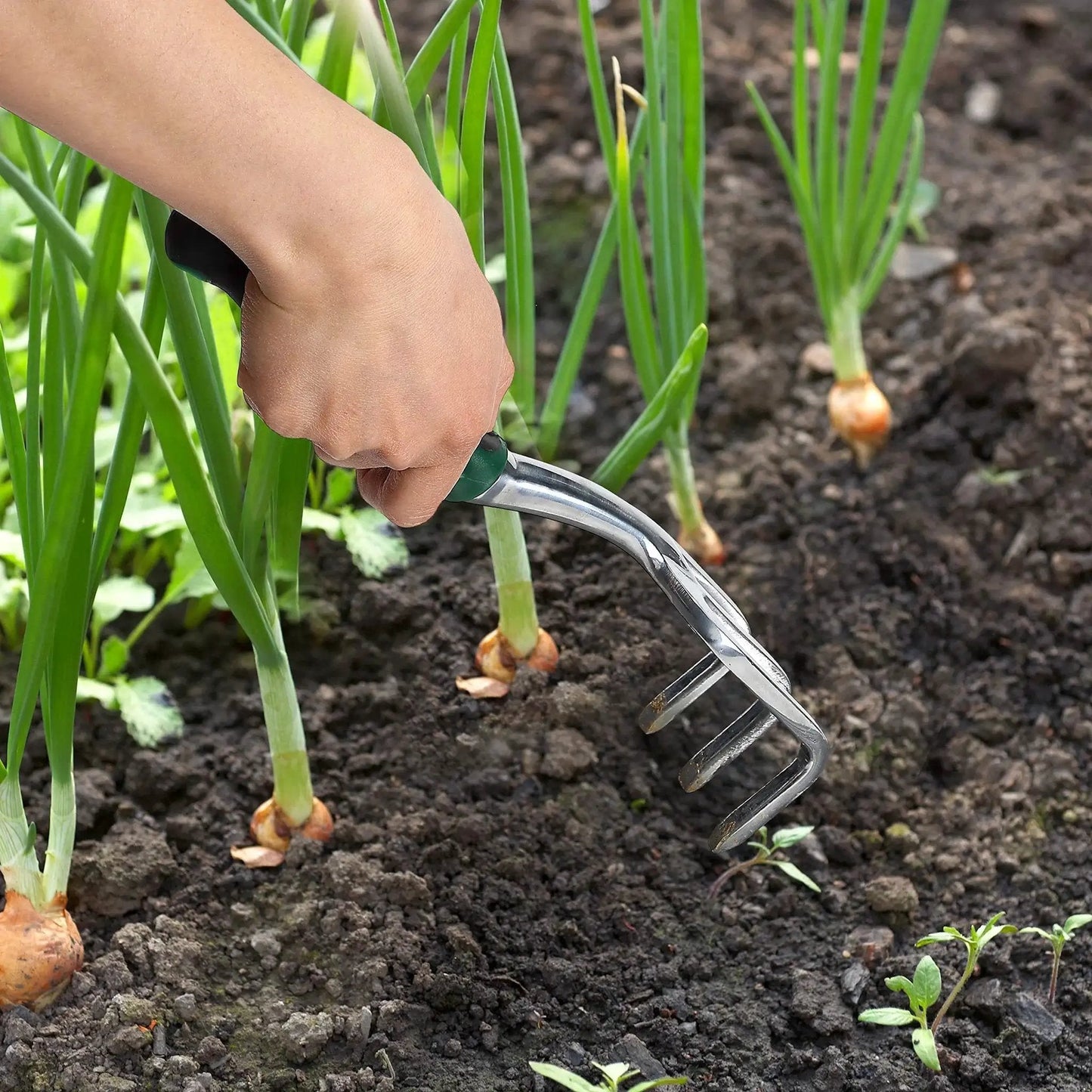 Eleven And A Half Inch Hand Rake For Weeding And Soil Turning With Three Prong Metal Cultivator For Garden Beds And Plots Easy Grip