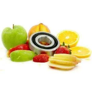 S6205-2RS Food Grade Stainless Steel Ball Bearing