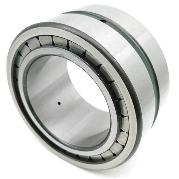 SL045004 Sheave Bearing 2-Row Full Complement Bearing 20x42x30mm