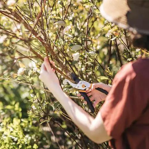Person using Bypass Pruning Shears With Five Eighth Inch Cut Capacity And Rust Resistant Steel Blade For Delicate Stem Pruning in garden