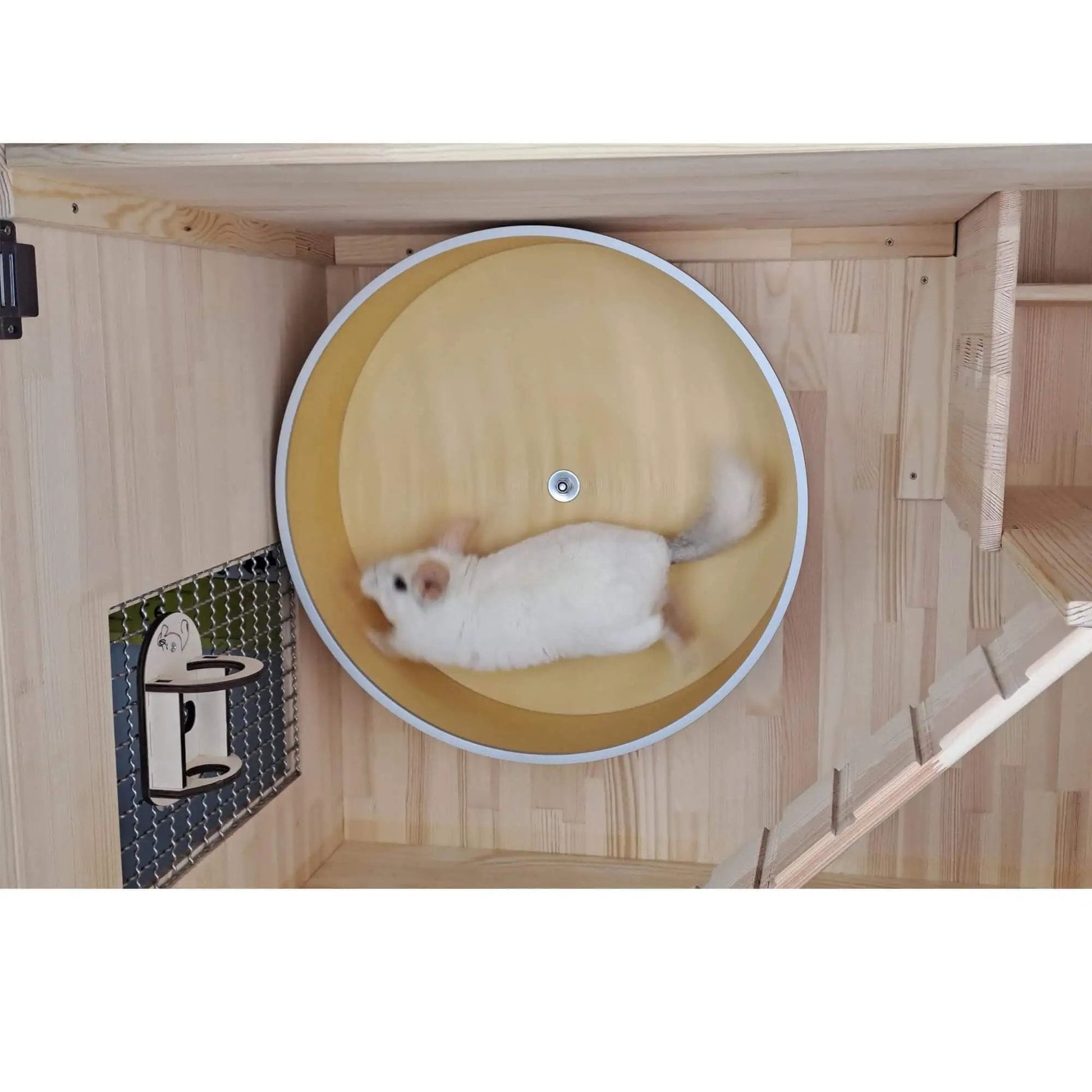 Quiet 16 Inch Chinchilla Exercise Wheel With Double Ball Bearings For Whisper Quiet Spin And Chew Resistant Metal Rim Plus Non Slip Surface And Easy Clean Ideal For Small Pets From AMIDA Craft in use by chinchilla