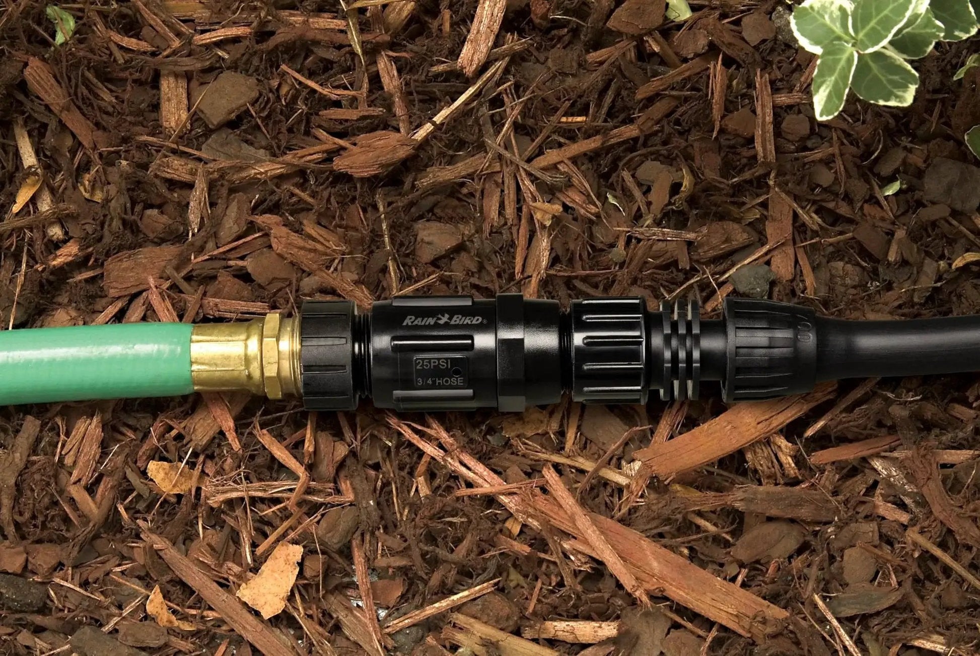 Drip Irrigation Pressure Regulator 25 PSI For Garden Hoses And Drip Lines Three Quarter Inch Female Hose Thread To Male Hose Thread in garden