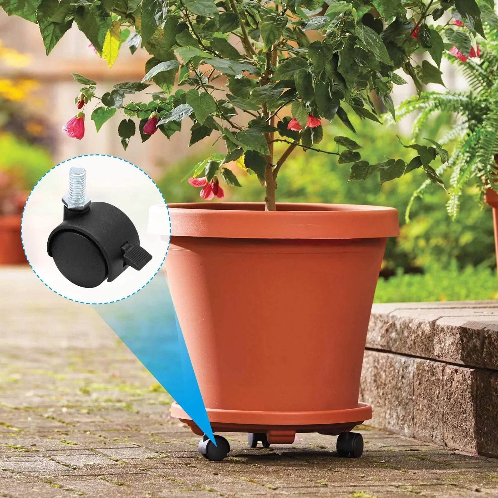 Terracotta planter on 4pcs 1 Inch Swivel Caster Wheels, M8 Threaded Stem Caster Wheels with Brake, shown close-up outdoors