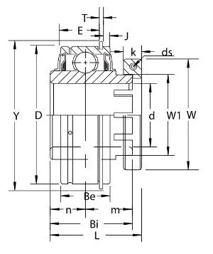 GER207-20 Bearing Insert GRIP-IT 360 Degree 1 1/4