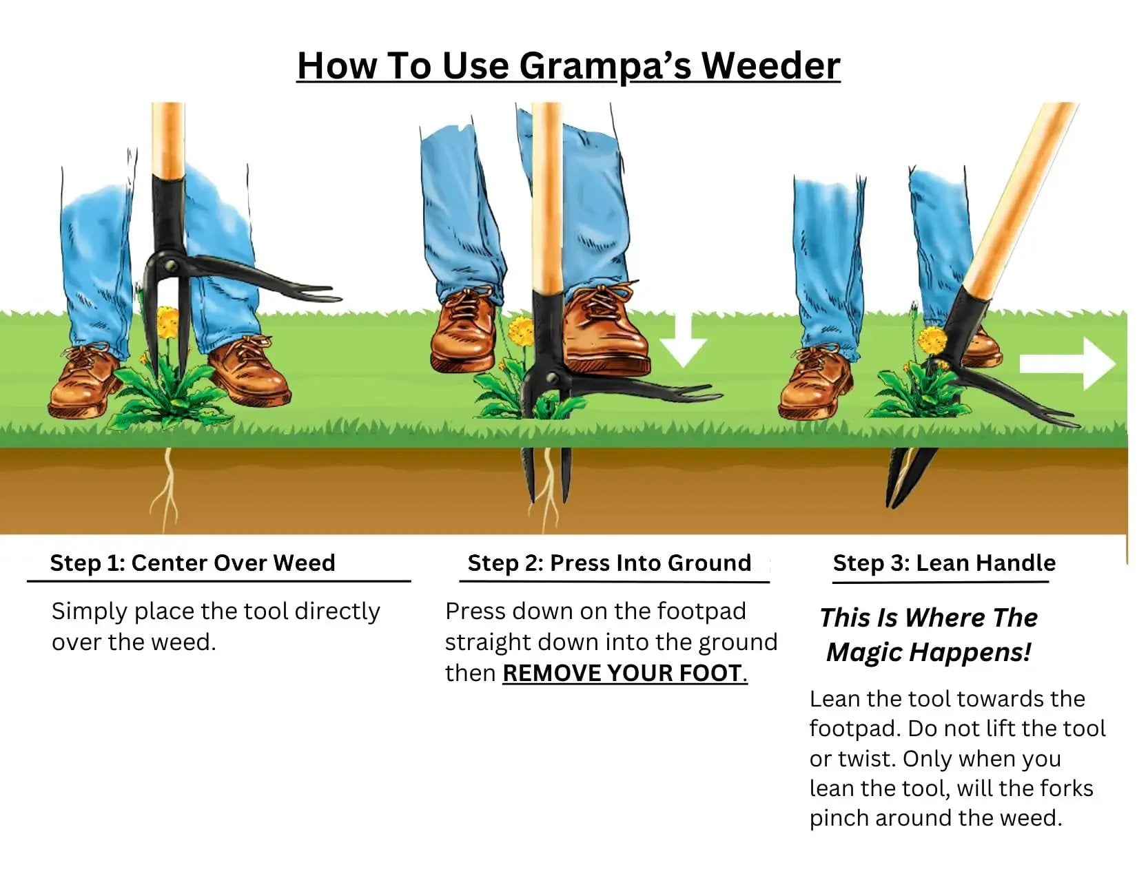 Illustration showing steps to use Stand Up Weed Puller With Long 45 Inch Handle And Four Claw Steel Head Made From Real Bamboo Back And Knee Friendly Weeding Tool Easily Remove Weeds Without Bending Kneeling Or Pulling Classic 1913 Design.