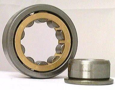 NJ320M Cylindrical Bearing 100x215x47 Large Bearing
