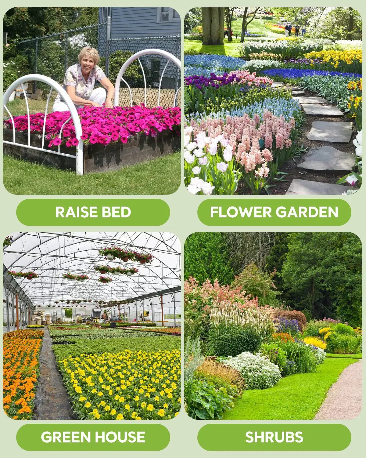 Collage of raised bed, flower garden, greenhouse, and shrubs showcasing various gardening setups.