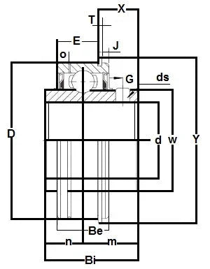 SER-60mm Bearing Insert 60mm Mounted