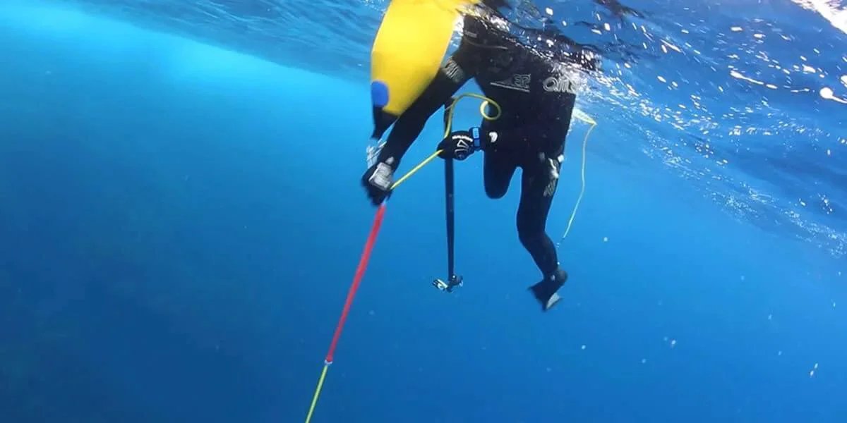 Diver using Spearfishing Floatline Clutch for Fighting Big Fish Freediving Spearfishing in underwater scene
