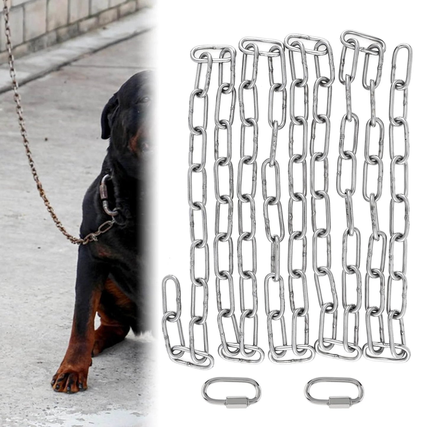 6.5Ft stainless steel link chain for dog with 2 locking snap hooks, 3mm heavy duty for 75 lbs load, alongside a Rottweiler