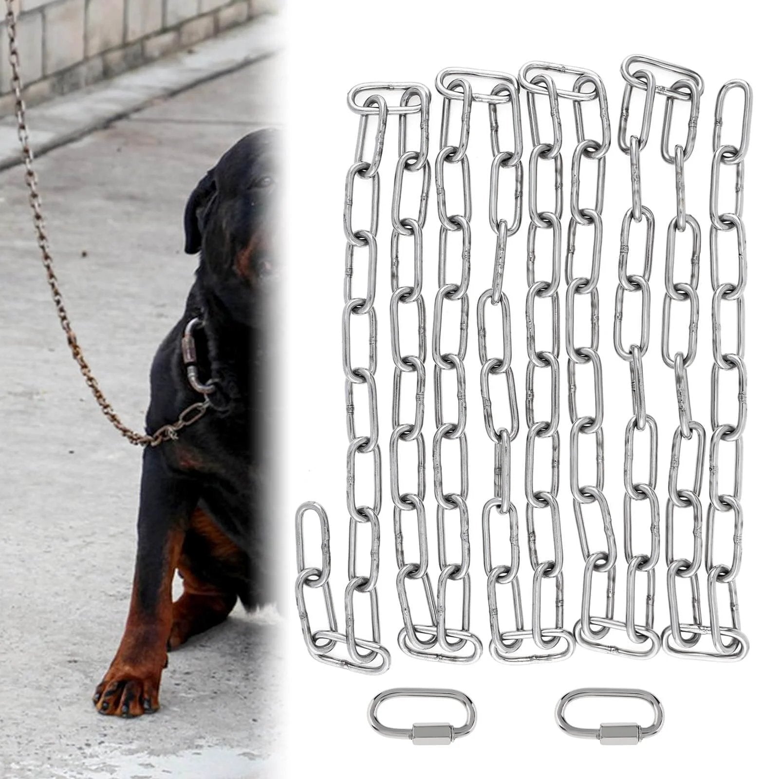 6.5Ft stainless steel link chain for dog with 2 locking snap hooks, 3mm heavy duty for 75 lbs load, alongside a Rottweiler