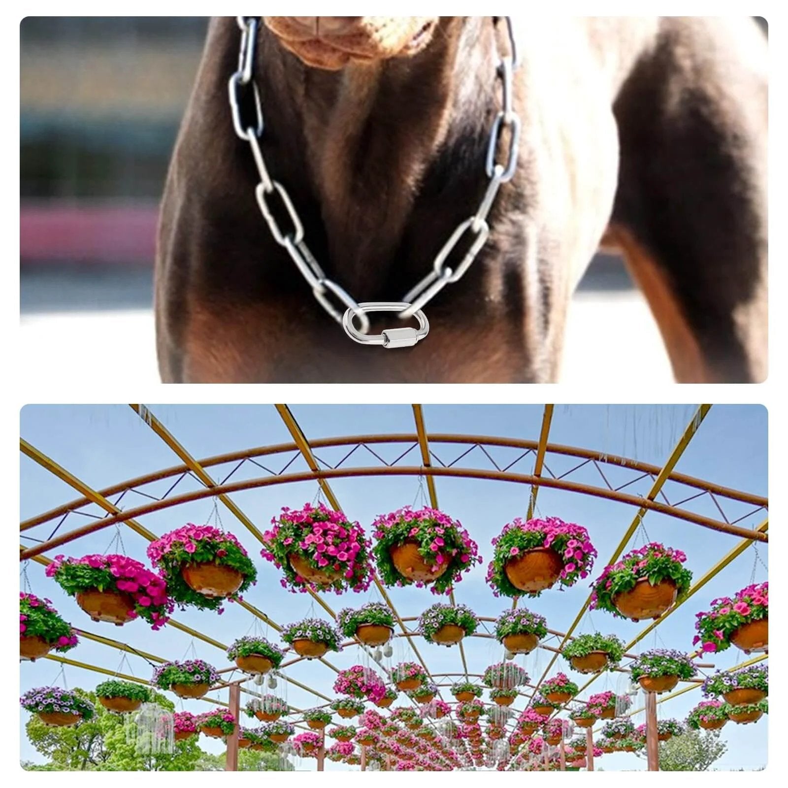 1/8" 6.5Ft stainless steel link chain on dog, heavy duty 3mm 304 steel, 75 LBS load bearing with 2 locking snap hooks for decor hanging
