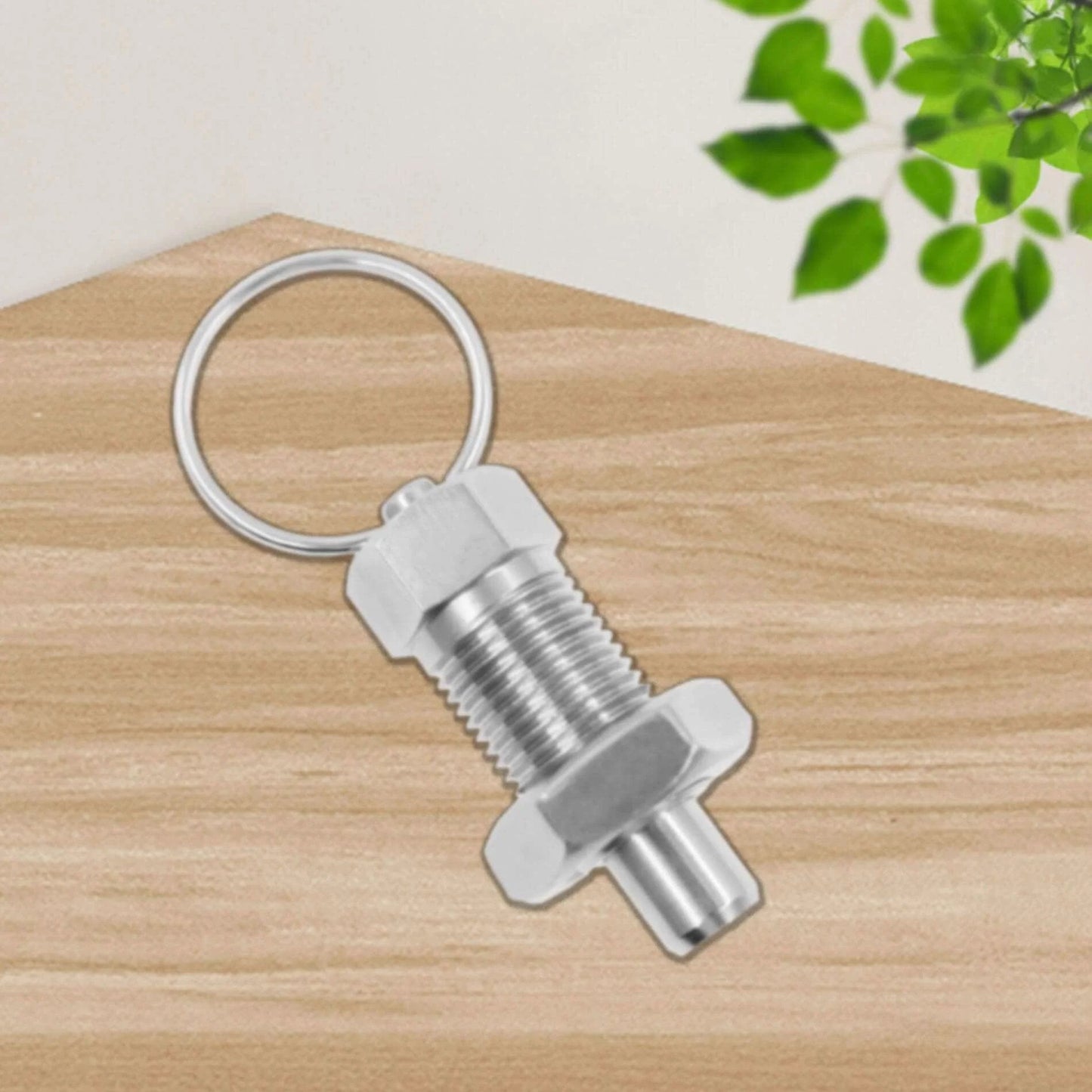 Stainless Steel Spring Plunger with Pull Ring Set shown on a wood surface, ideal for industrial and automotive use, M6-3mm & M12-8mm sizes.