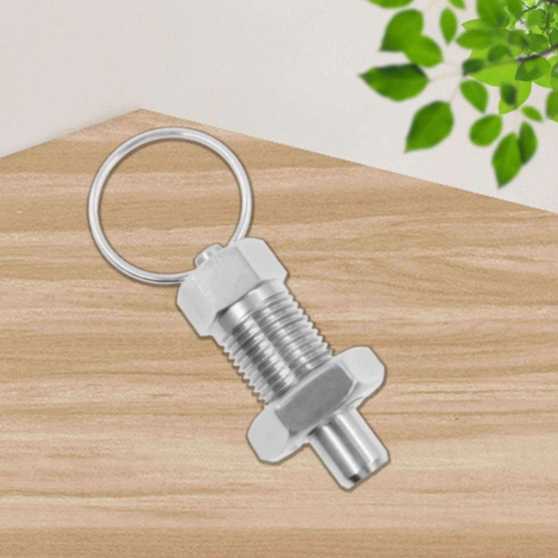 Stainless Steel Spring Plunger with Pull Ring Set shown on a wood surface, ideal for industrial and automotive use, M6-3mm & M12-8mm sizes.