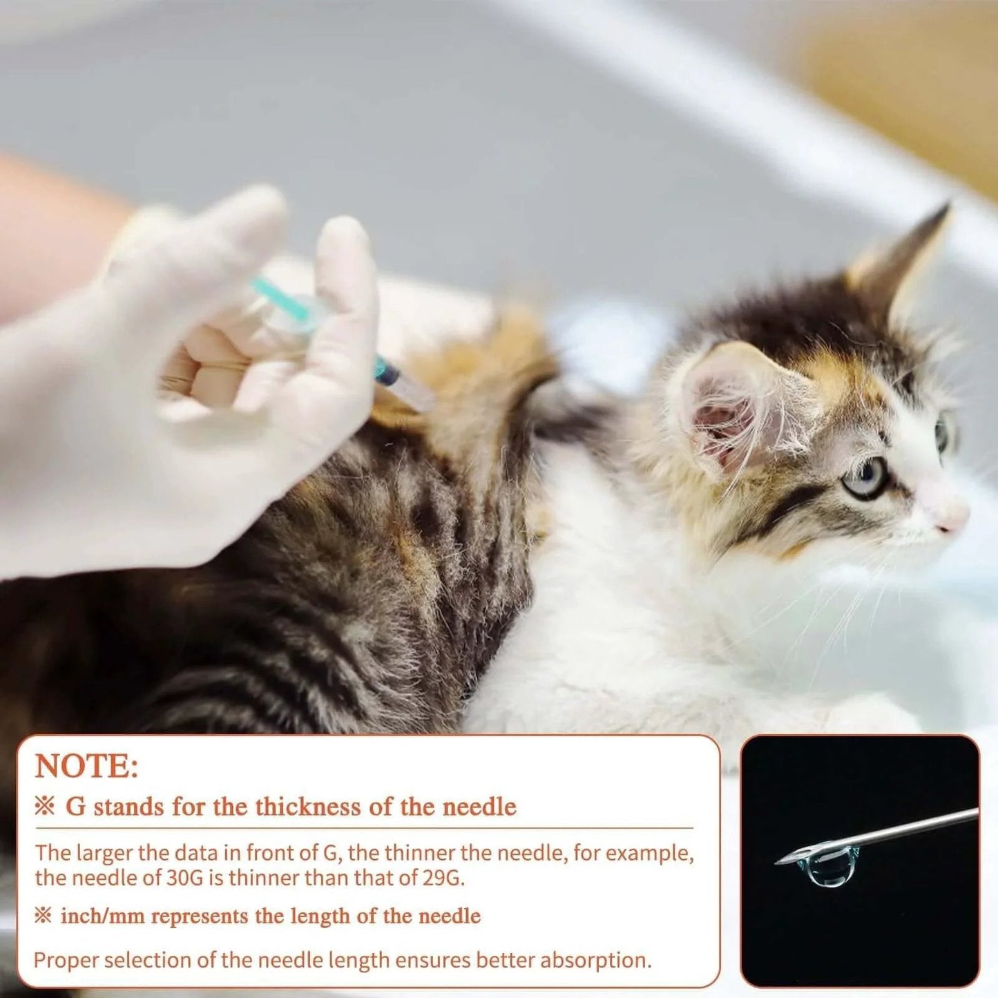 Using Individually Wrapped 1cc Syringes With 31G Needles 8mm Sterile Pack Of 20 Medical Grade For Precise Dosing on kitten