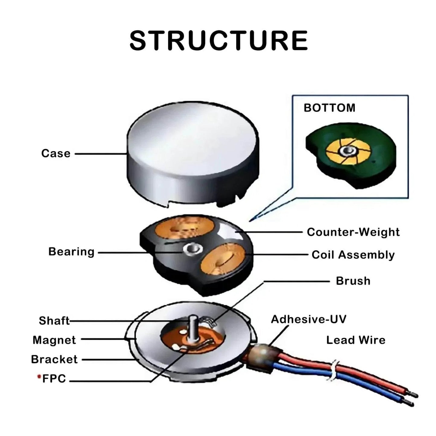 Diagram of 20PCS Vibration Motor DC3V 12000rpm internal structure with case, bearing, coil, brush, and lead wire